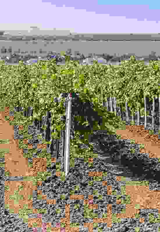 The small particles of the soil
